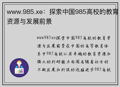 www.985.xe：探索中国985高校的教育资源与发展前景